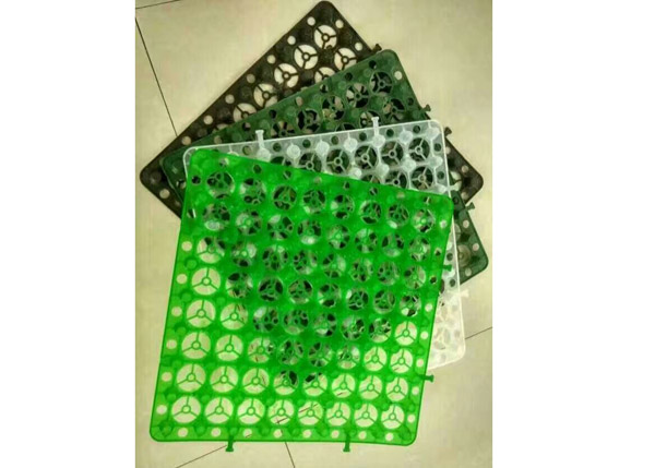蓄妖精视频WWW网站入口
